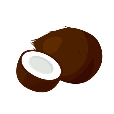 Hindistan cevizi beyaz arkaplanda izole edildi.