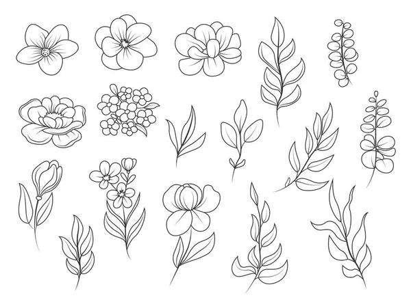 Vector Elementos de flores y hojas dibujados a mano. — Archivo Imágenes Vectoriales