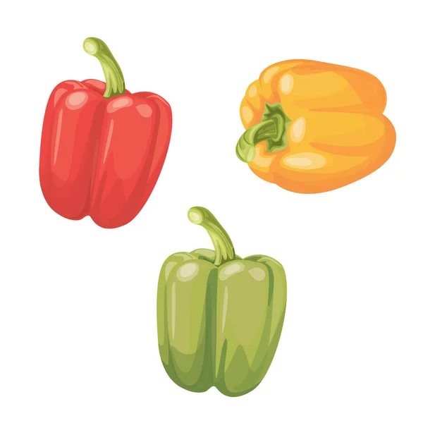 Set di tre peperoni. Pepe giallo, rosso, verde. — Vettoriale Stock