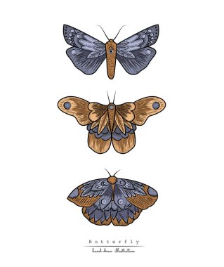 Kelebek. Seth gece kelebekleri. Böcekler. Basit vektör illüstrasyonu.