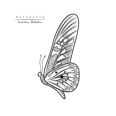 Uçan kelebek kartı. Kelebek çizimi.