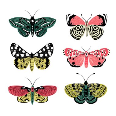 Beyaz arka planda izole edilmiş zarif egzotik kelebekler ve güveler koleksiyonu.