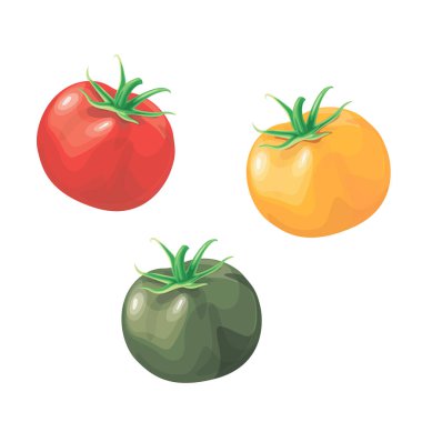 Kırmızı, yeşil ve sarı domateslerin vektör çizimi.