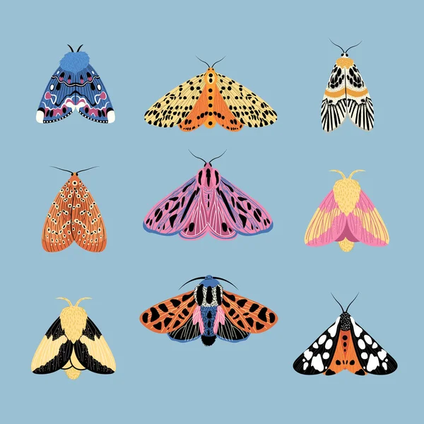 Kelebekler, güveler beyaza izole edilmiş.