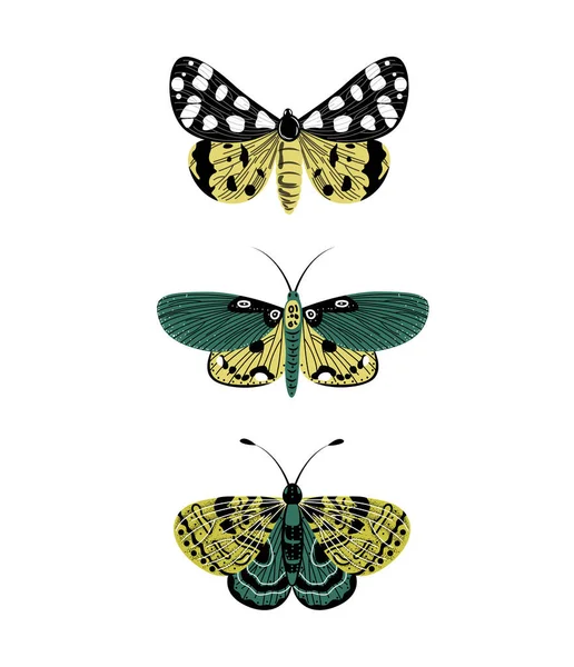 Set von Vektorbildern Schmetterlinge im flachen Stil. — Stockvektor
