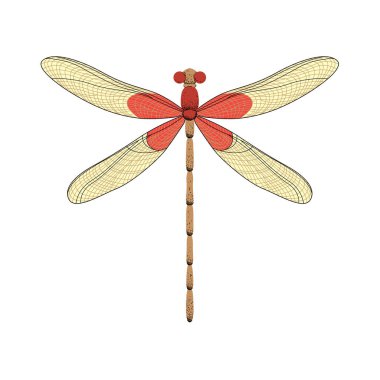 Vektör çizgi film Dragonfly karakteri. Komik ejderha sineği simgesi.