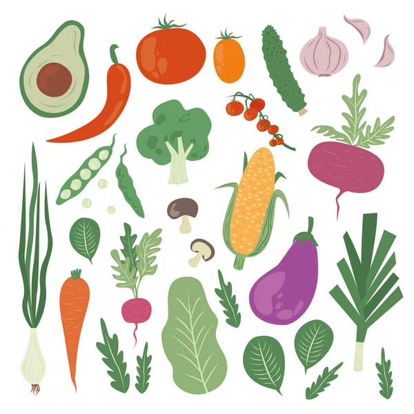 Vegetais.Ilustrações de comida vetorial: tomate, beterraba, folha baia, pimenta, berinjela. — Vetor de Stock