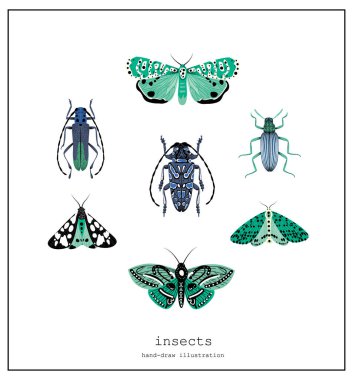 Böcek türleri ve egzotik böcek simgeleri koleksiyonu.