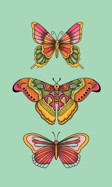 Beautiful cute vector illustration of butterfly in pastel colors. — Stock Vector
