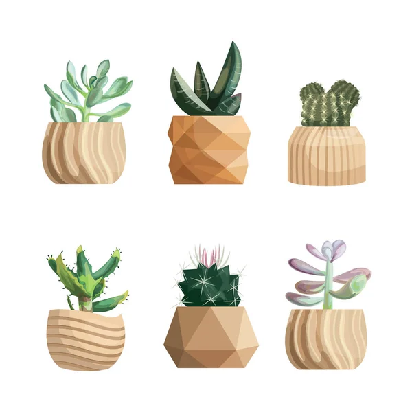 Vasos Coleção Plantas Suculentas Plantas Casa Arte Vetorial Desenhada Mão — Vetor de Stock