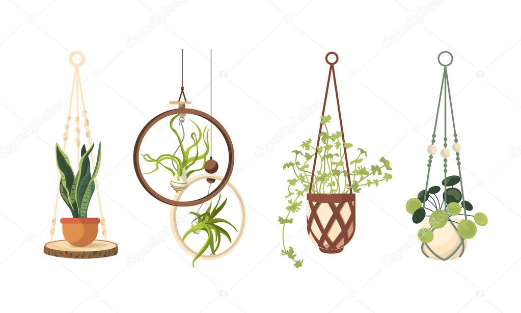 Set of macrame hangers for plants growing in pots. Bundle of hanging planters made of cotton cord, beautiful handmade home decorations isolated on white background. Cartoon flat vector illustration.