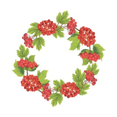 Beyaz arka planda böğürtlenli çelenk ve viburnum çiçekleri. Guelder gülü. Ukrayna 'nın sembolü. Stock Vektör İllüstrasyonu.