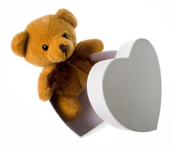 The little broun bear from the heart-box — Stock Photo, Image