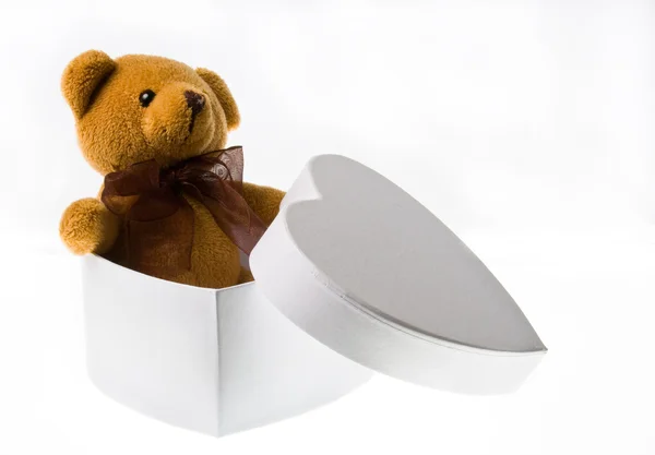 The little bear from the box — Stock Photo, Image