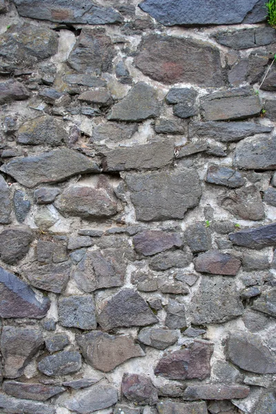 Стена замка — стоковое фото
