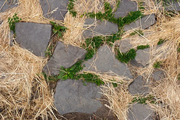Stone path in the grass — Stock Photo, Image
