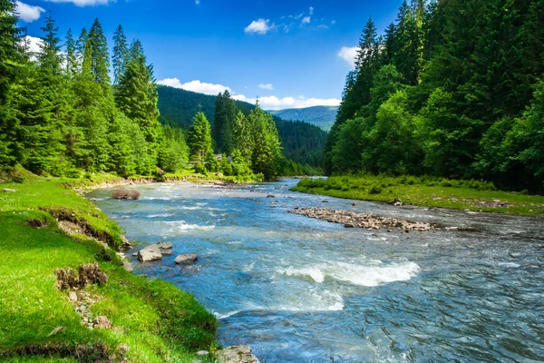 Mountain fast river — Stock Photo, Image