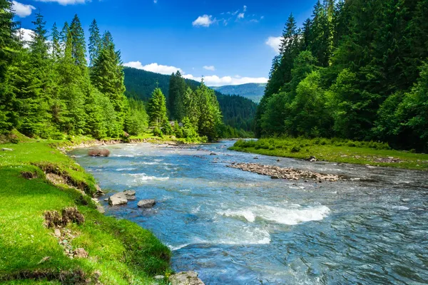 Mountain fast river Royalty Free Stock Images