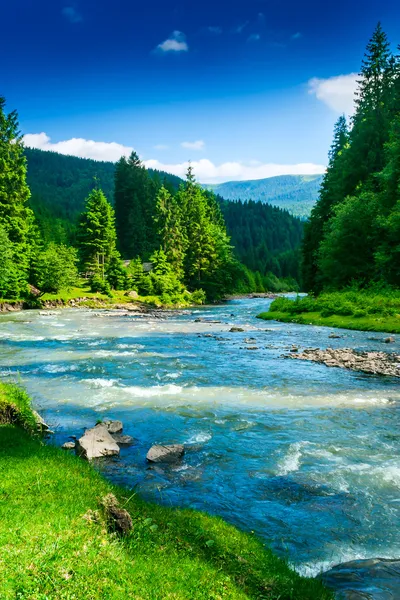 Dağ nehri — Stok fotoğraf