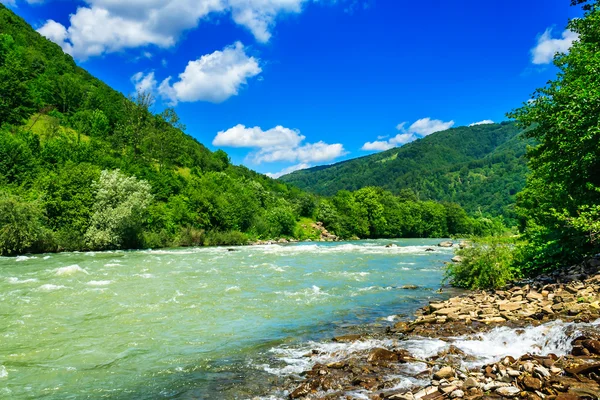 Río salvaje de montaña en un día claro de verano — Foto de Stock