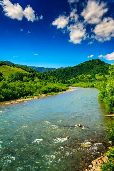 Rio de montanha selvagem em um dia de verão claro — Fotografia de Stock