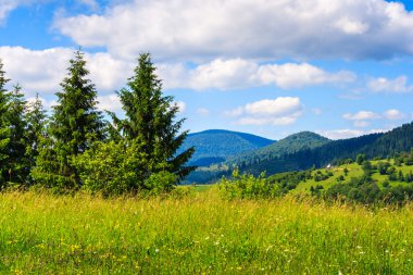 Dağları ile çayır