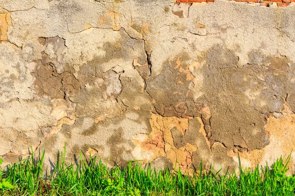 Gras infront van krassen en gebarsten muur — Stockfoto