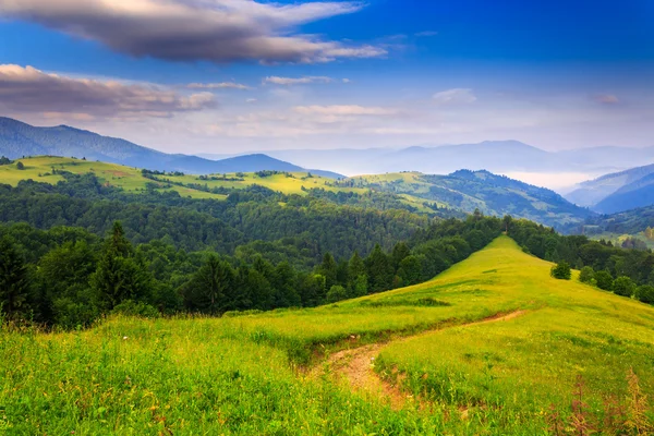 Frescura de uma manhã de verão nas montanhas — Fotografia de Stock