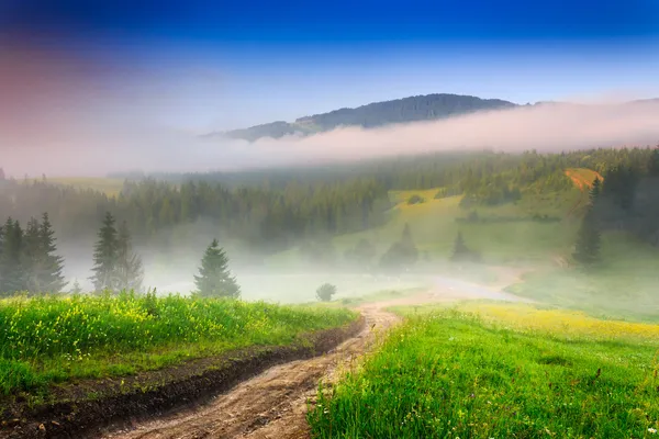 Encruzilhada na névoa da manhã nas montanhas — Fotografia de Stock