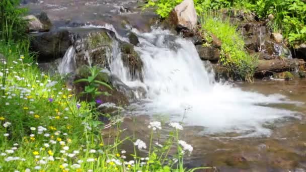 Der schnelle Fluss des Gebirgsbaches — Stockvideo