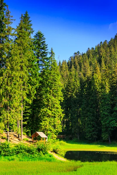 Gazebo e um pequeno lago próximo à floresta nas montanhas em c — Fotografia de Stock