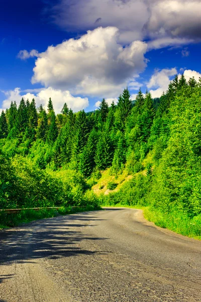 Route through the mountains to the pine forest on a summer eveni — Stock Photo, Image