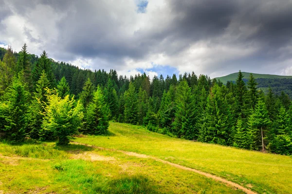 Clearing with footpath in a mountain forest before the storm. — Stock Photo, Image