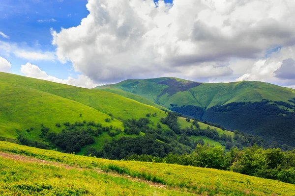 Çapraz yatay — Stok fotoğraf