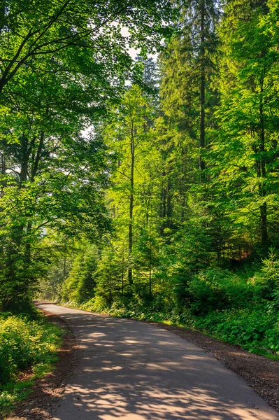 Gaan naar de natuur — Stockfoto