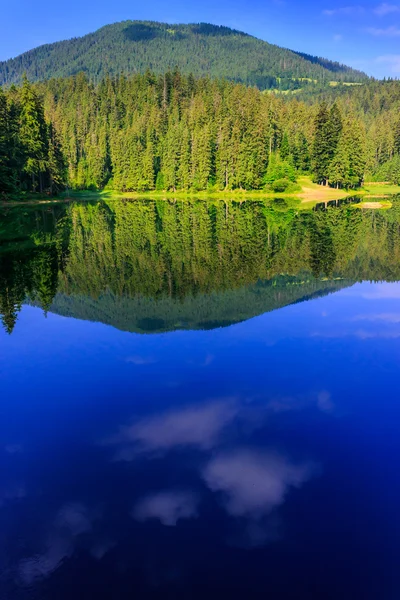 Natuurlijke spiegel — Stockfoto