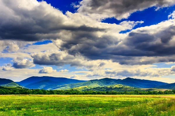 Field under clouds — Stock Photo, Image
