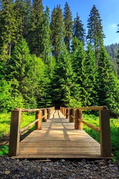 Pont en bois s'étendant dans les profondeurs de la forêt verticale — Photo