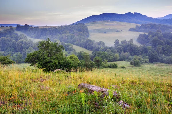 Pierres sur une clairière à dans le brouillard — Photo