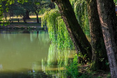 Gölde bir Şehir Parkı