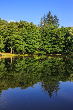 Göl yansımaları dikey bir Şehir Parkı