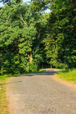Şehir Parkı dikey dolambaçlı yol