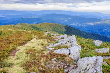 yolu taşlı yüksek sırt üzerinde