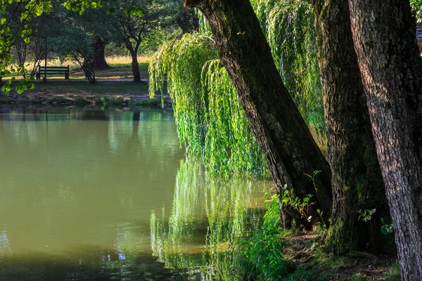 Lago in un parco cittadino — Foto Stock
