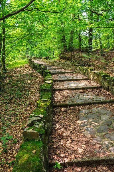Winding stone steps with foliage vertical — Stock Photo, Image