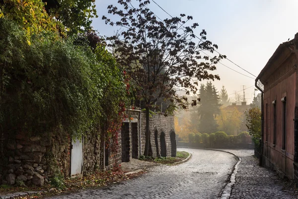 Eski şehrin Arnavut kaldırımlı sokakta — Stok fotoğraf