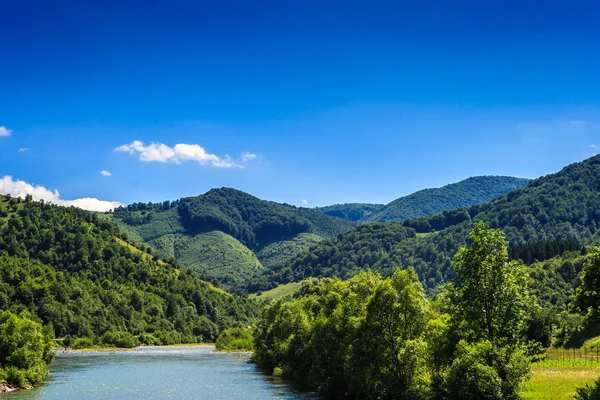 Fluss mündet in die Berge — Stockfoto