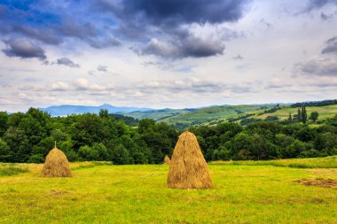 haystacks orman ve dağ yakın bir alanda