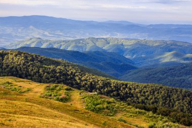 çayır ve orman tepe üstleri