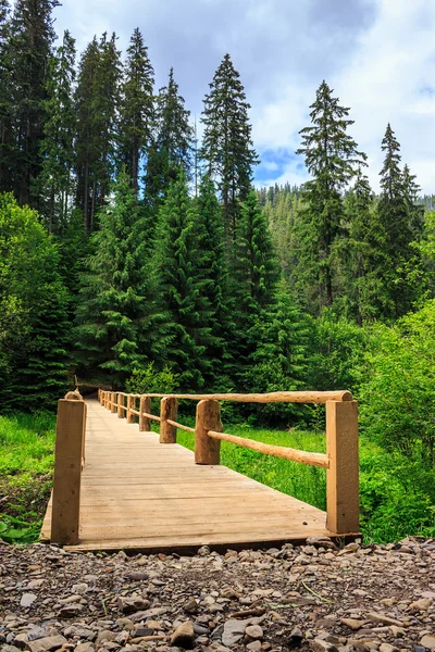 Nova ponte de estrada para floresta. vertical — Fotografia de Stock